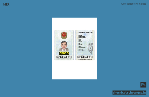 Beispielansicht eines norwegischen Polizeiausweises